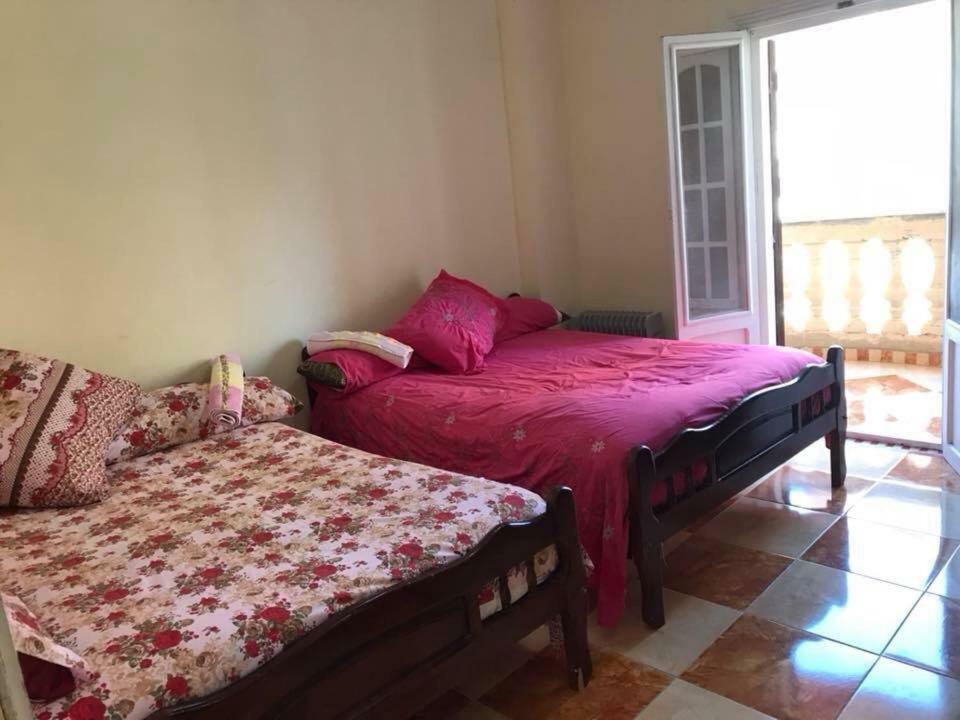 Cozy New 2 Bd Amazing Beach View Next To Hilton Hotel Family Only !العائلات فقط Александрия Экстерьер фото